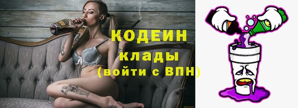 не бодяженный Осташков