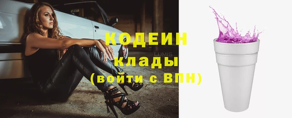 дмт Нягань