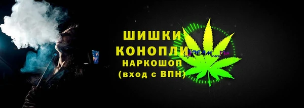 дмт Нягань