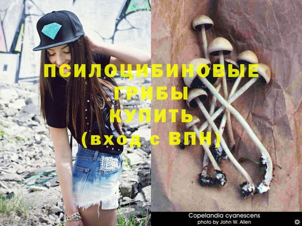 кокаин премиум Няндома