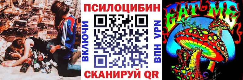 Галлюциногенные грибы Psilocybine cubensis  цена   Богучар 